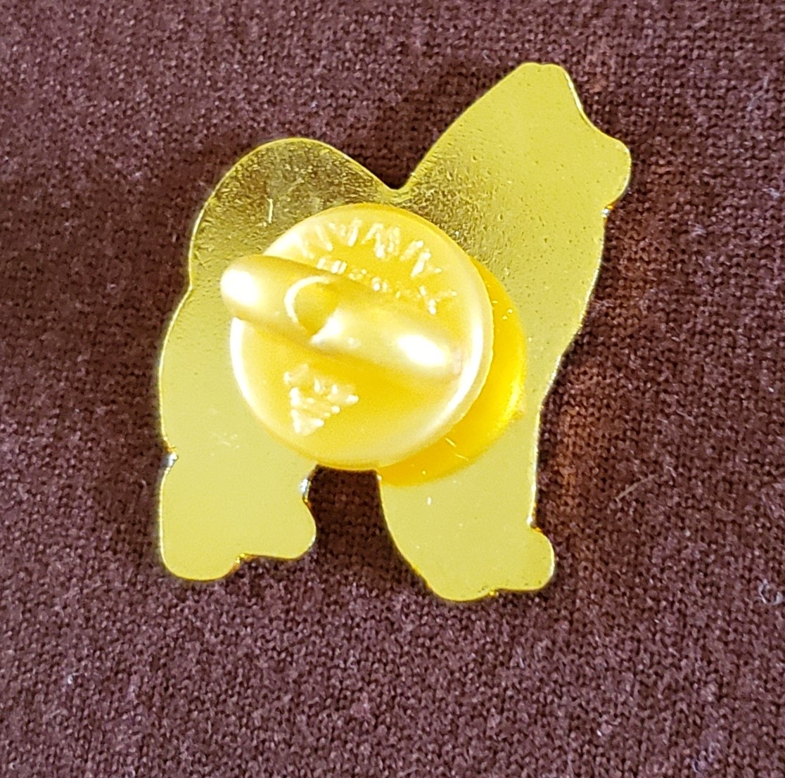 Pin back side