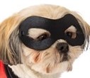 mask on face